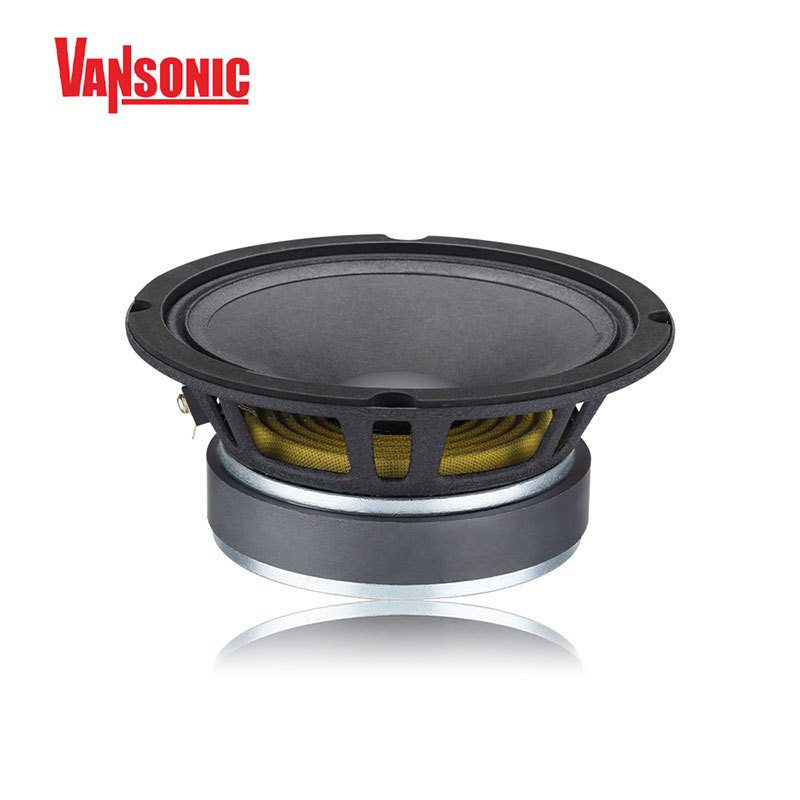 Altoparlante midrange per auto da 300 W (RMS) da 10 pollici